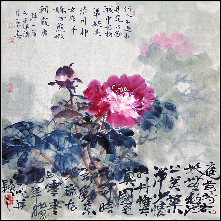 春风又催牡丹艳  530