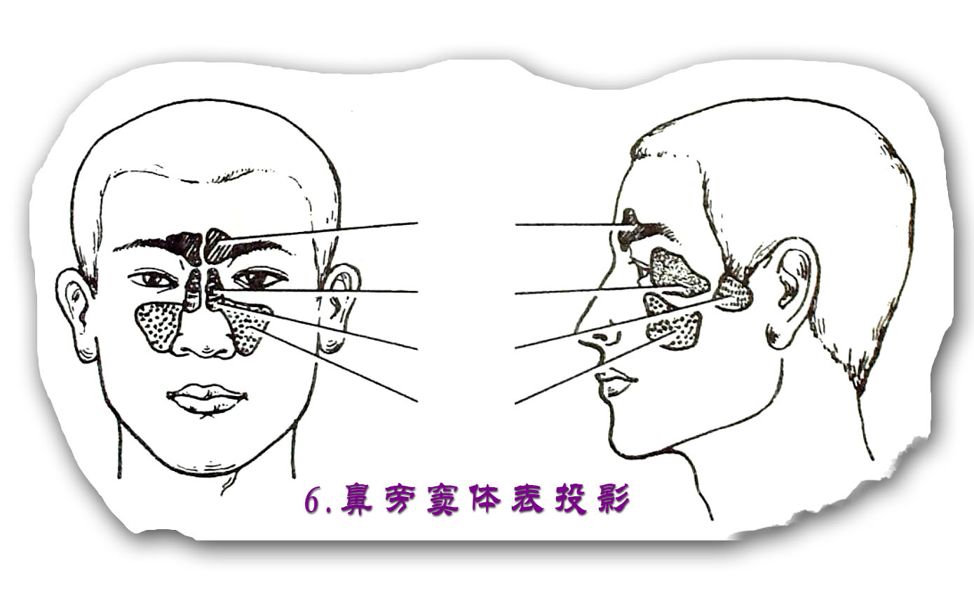 陳鏘文醫師談鼻塞，不只是因為過敏，可能是「鼻中隔彎曲」作祟！