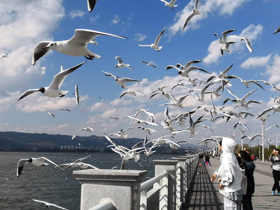 海埂大坝