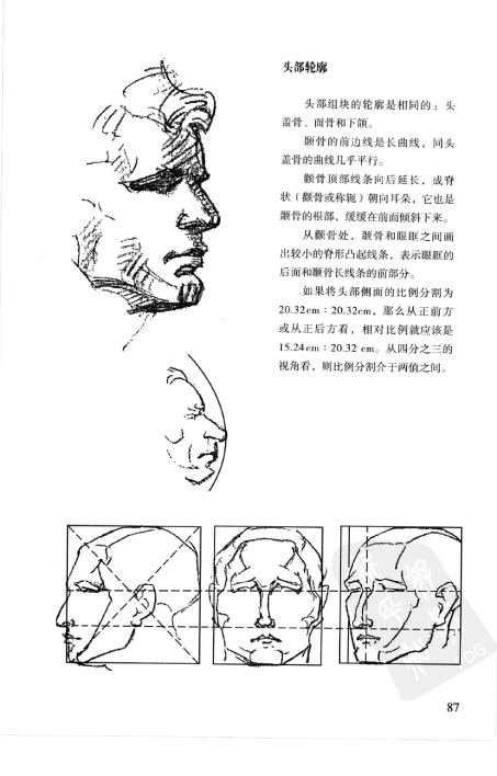 伯里曼人体结构教学-96
