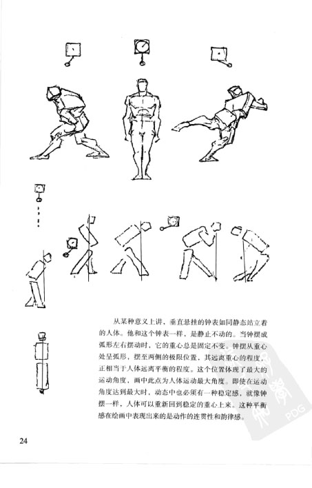 伯里曼人体结构教学-33