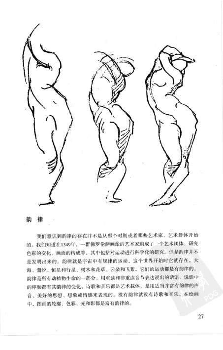 伯里曼人体结构教学-36