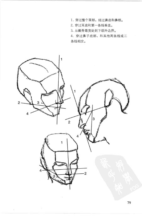 伯里曼人体结构教学-88