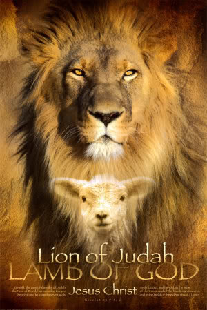犹大支派的狮子图片